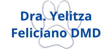 Dra. Yelitza Feliciano DMD